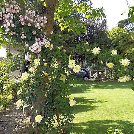 Casa Di Laura